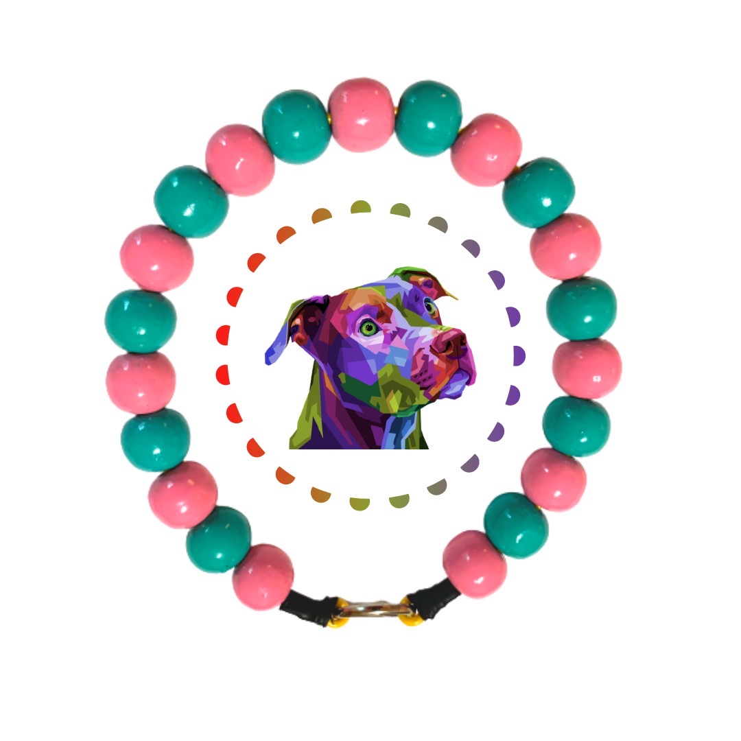 485b859a-d472-4d2c-ad00-fa16a3410151 COLLAR BICOLOR