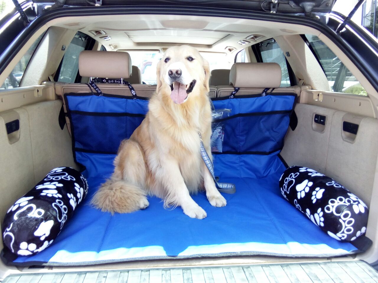 4890584f-7c12-406d-98b9-ae9522c6f566