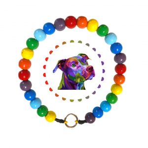 COLLAR ARCOIRIS