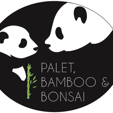 Palets, bamboo y Bonsái