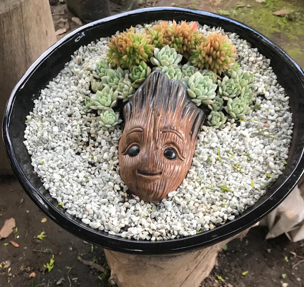 WhatsApp Image 2021-05-31 at 1.43.36 PM