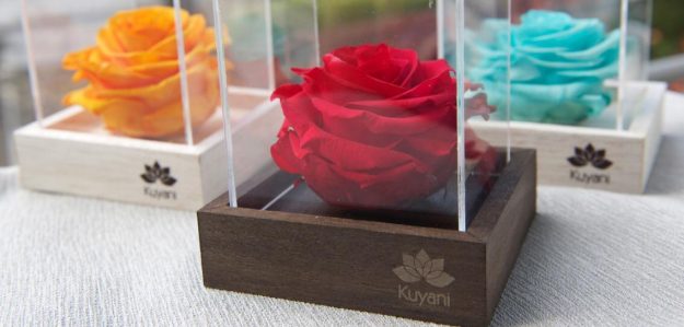 Kuyani Rosas Inmortalizadas